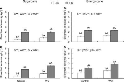 Silicon as a Sustainable Option to Increase Biomass With Less Water by Inducing Carbon:Nitrogen:Phosphorus Stoichiometric Homeostasis in Sugarcane and Energy Cane